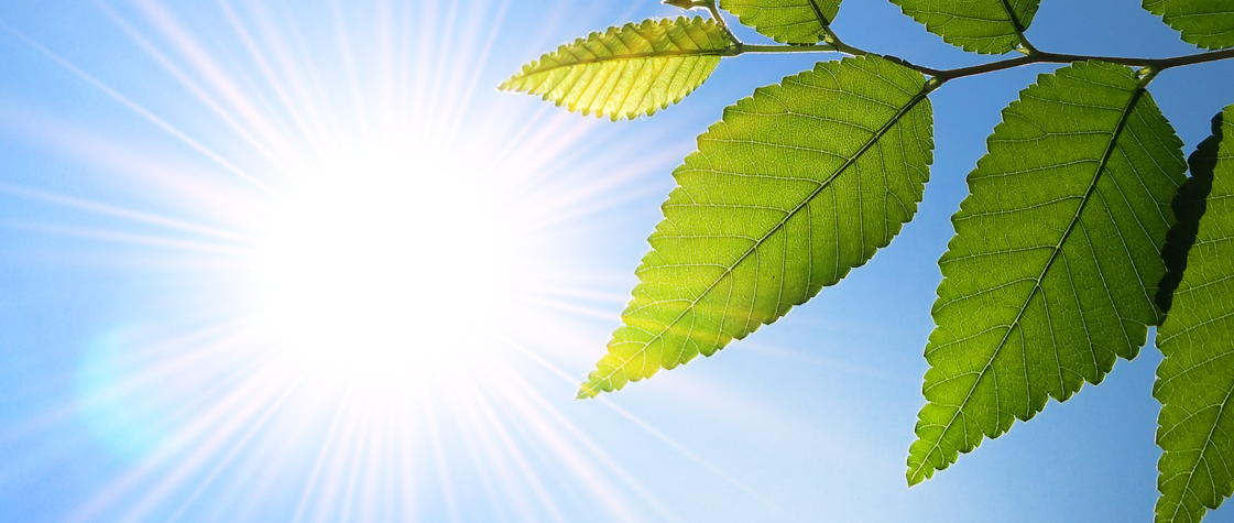 СОНЯЧНА ЕНЕРГЕТИКА